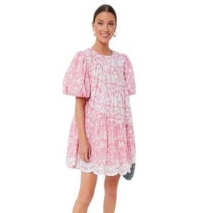 Ash & Eden Milena Schiffli Dress XL Pink A-Line Mini Eyelet Swiss Dot Tuckernuck